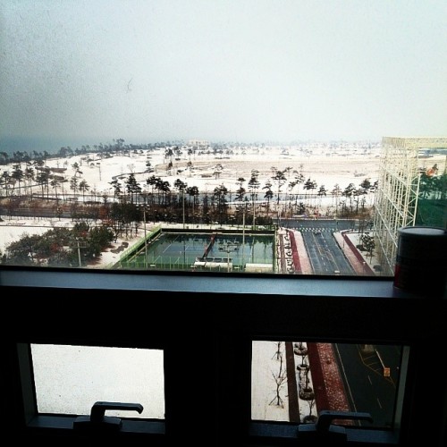 #morning 昨天晚上又下雪咯~ 於是又是一片雪白了顆顆❤