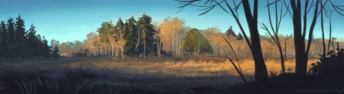 storywood:I went on a little nature walk yesterday evening! Came across this field, and I really lov