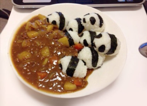 kacsa:beben-eleben:Japanese Food Pornthe bear all tucked in!!!