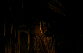Im An English Teacher, Not Fucking Tomb Raider.The Descent (2005) Dir. Neil Marshall