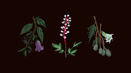 pixelated plants (& one lil ‘shroom!)