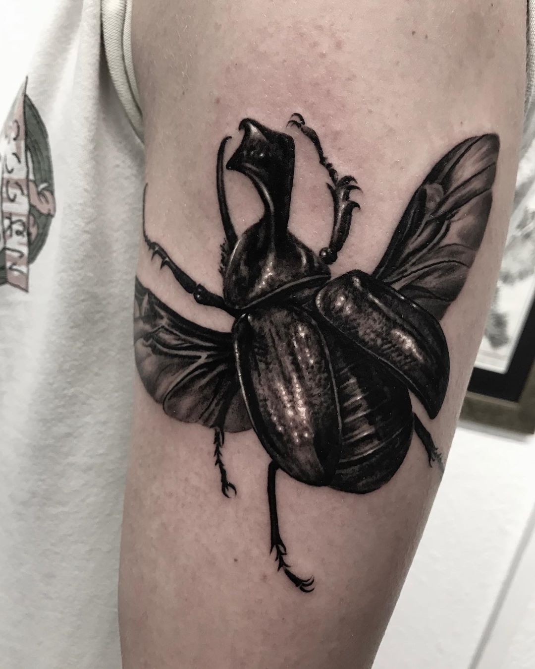 🖤Rhinoceros beetle / Golofa Claviger
Thanks so much for making the trip down Felix! This will be part of a bigger piece and can’t wait to carry on 👏🏻Thanks for letting me run with such a fun idea 🤸🏻‍♀️ more like this pleeeease 🙏🏻
See you next...