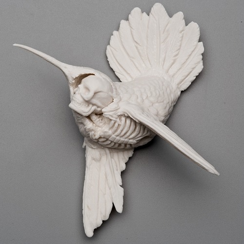 moshita:  Kate Macdowell 