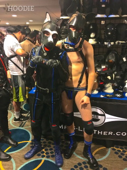 puphoodie:  Had a great MAL weekend with tons of puppies! Myself and @bostonkoda pictured here in the market.Find more on my Twitter here!Koda’s Twitter  