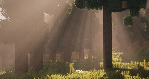 Dappled Sunlight~Currently working on something big ^-^