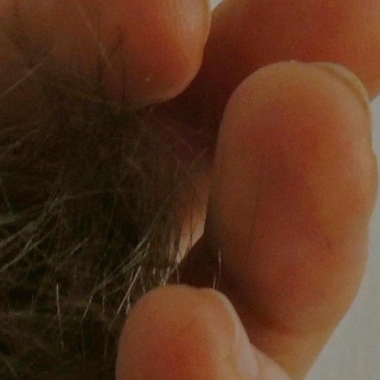lrdnnck: 