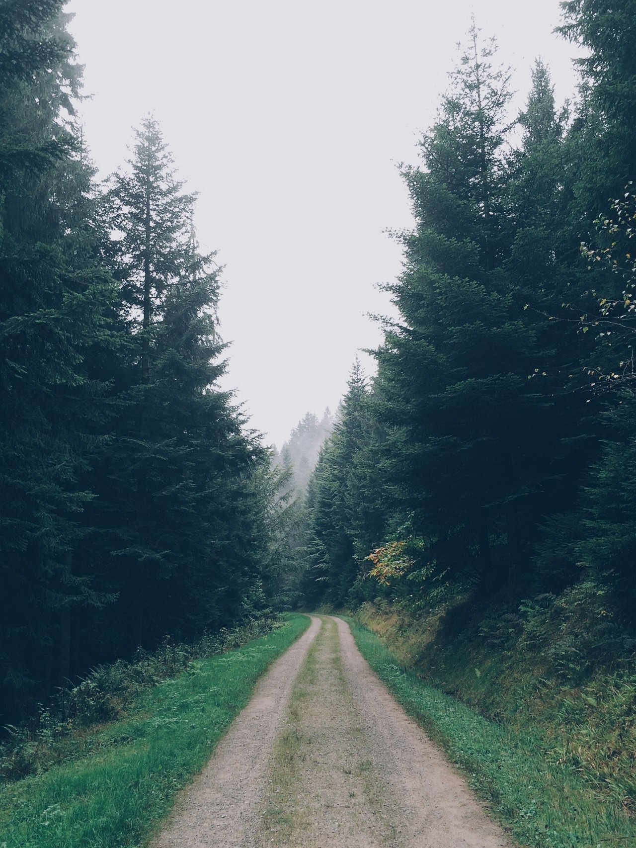 danielodowd:  SamMShone