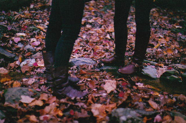 awtumnleafs:  want more autumn?! follow awtumnleafs 
