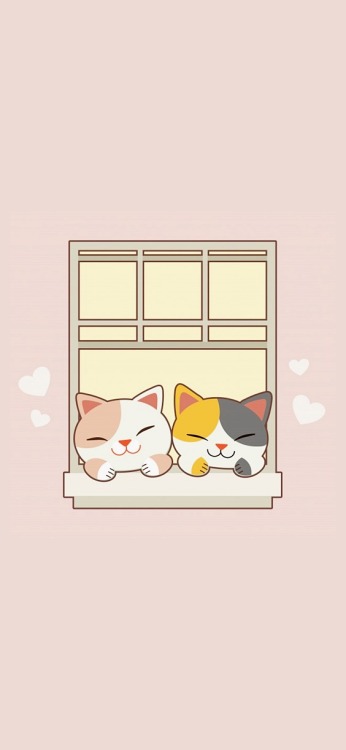 cats wallpapers