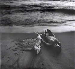 viwtaria:  tiucoelho:  Flor Garduño The stranded lovers, México2009  .