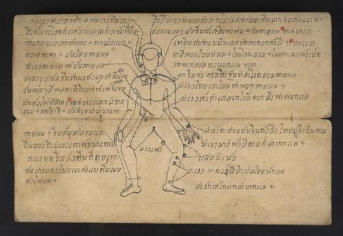 This week, we’re looking at Thai manuscripts.Ms. Coll. 990 Item 9, Thai Astrological and Medical Man