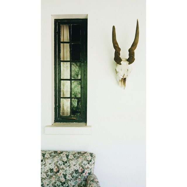 valscrapbook:  Still on the stoep. by skinnylaminx on Flickr.