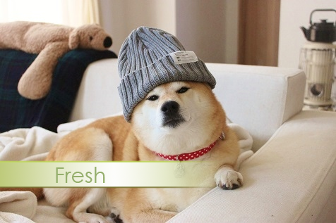 newcleic-asshole:kitsune-mama:sm980:masterpost@newcleic-assholeive never seen fresh before, I though