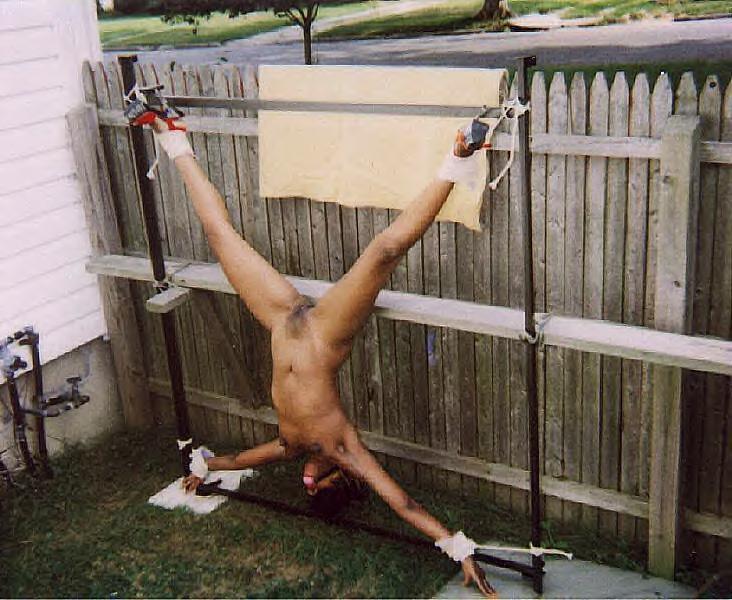 and-shame:  The neighbors won’t know till their dog tries to dig up its bone.