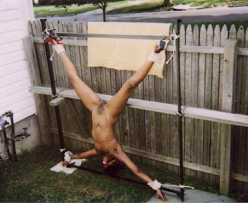 and-shame:  The neighbors won’t know till their dog tries to dig up its bone.