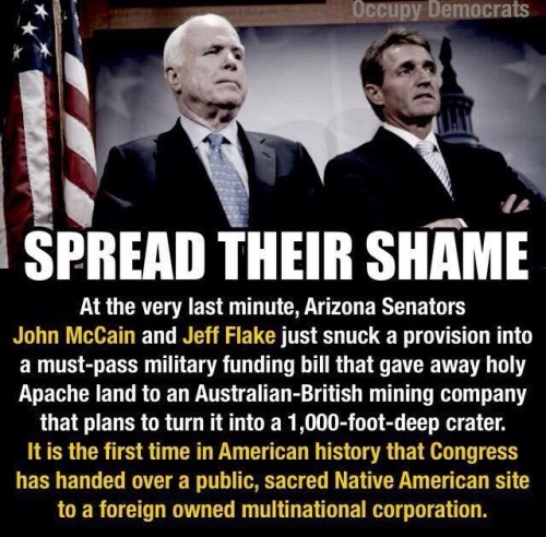 madamethursday: [Image: A picture of Arizona senators John McCain and Jeff Flake with text on it. Te