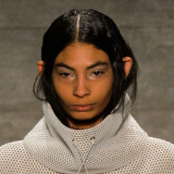 Furples:  Vfiles Fall 2015   