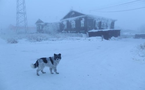 krasna-devica:Yakutsk, Russia