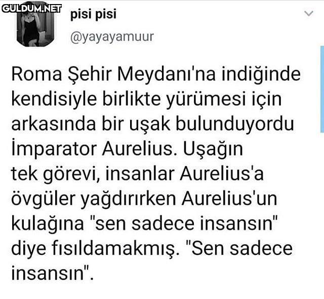 kral adammış pisi...