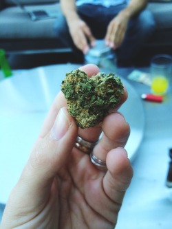 1drogue:  1.3g love nug. 