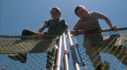 Stand By Me (1986)Director: Rob Reiner DOP: Thomas Del Ruth 