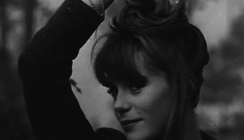violentwavesofemotion:  Françoise Dorléac in La Peau Douce (The Soft Skin) dir.