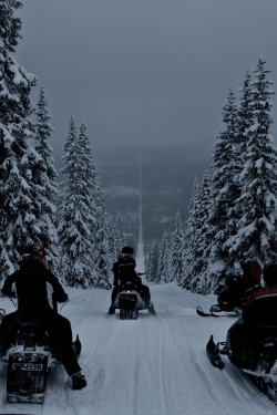 vistale:  Norway-Sweden Border | via