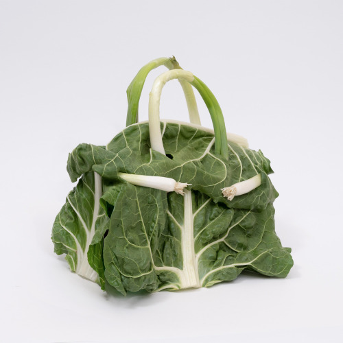Asparagus, Cucumbers, And Cabbage Leaves Take A Fresh Twist On The Iconic Herms Birkin Bag