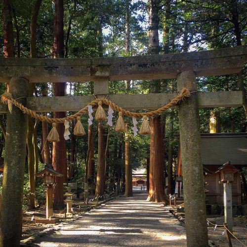 伊勢国一宮 椿大神社の参道ですこちらのちょうど左手に高山土公神陵、猿田彦大神の御陵があります#神社巡拝家 (椿大神社)www.instagram.com/p/CK1aicqj77N/?