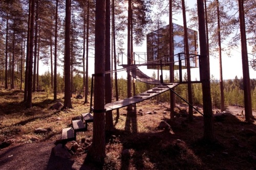 Tree houses that put our ordinary homes to shame. A mixture of classic and modern tree houses that m