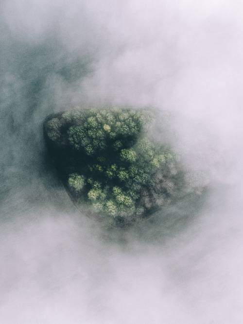 drxgonfly:Misterious Adventures (by Tobias Hägg) // Instagram