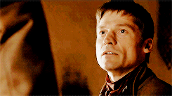lady-arryn-deactivated20140718:  zsnap-holmes requested: jaime lannister + warm colours