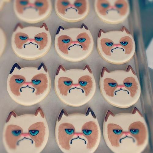 cybergata: Me wants some Grumpy Cat Cookies