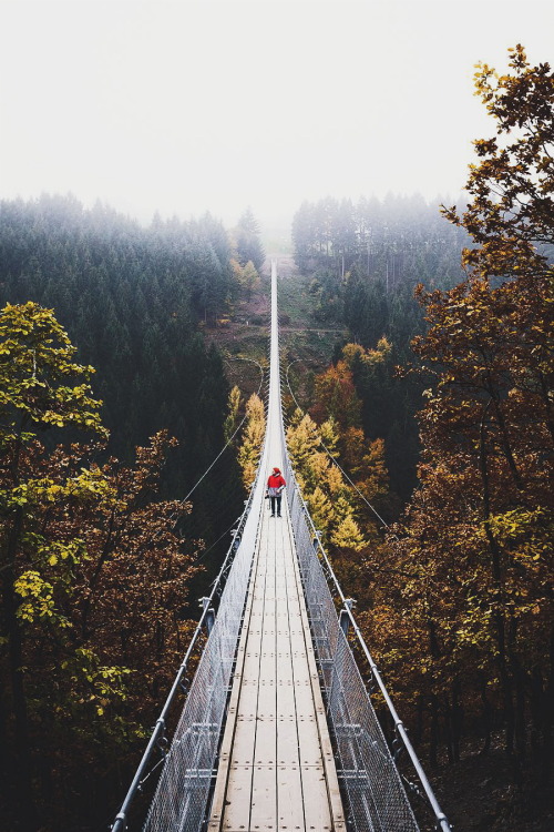 ikwt:  Into the fog (knucklerkane) | instagram 