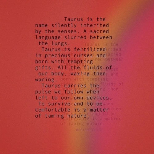 Muses Of Carnage: Scorpio Taurus