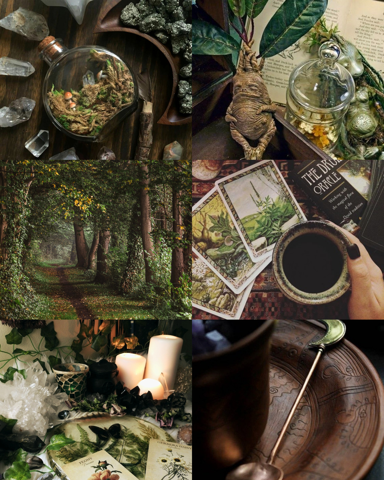 oldoakwoods: Forest witch aesthetic~ 🌲