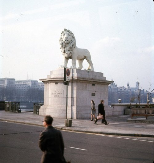 Porn furtho: The South Bank Lion, London, 1973 photos