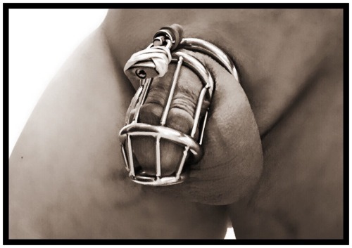 XXX chastitychronicles:  ratemychastitycage: photo