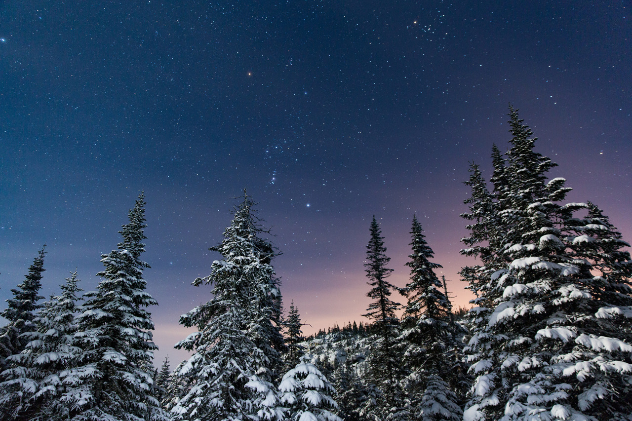 NIght sky at the snowy Monts-Valin National Park, Quebec
Photograph by Bradley Henning, National Geographic Staff