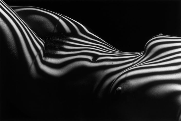  Lucien Clerge - Zebra Nude (1997-2012) 