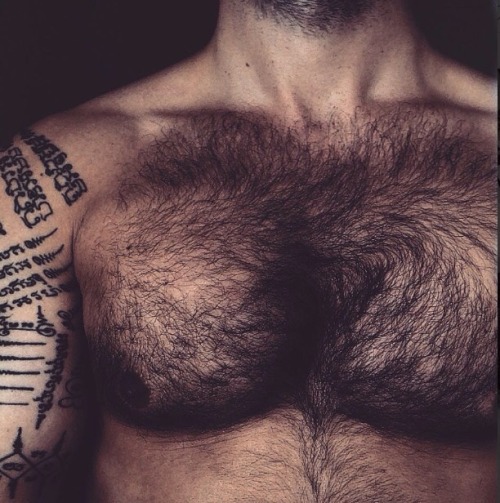hairymacho:  http://hairymacho.tumblr.com/
