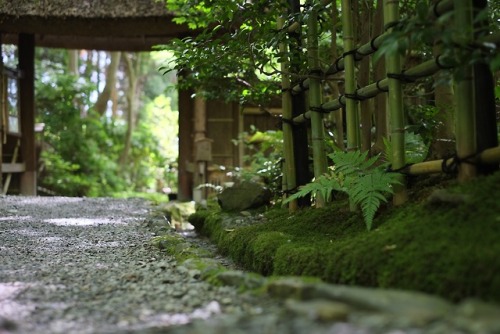 wanderlustjapan: 祇王寺 by dulcet faber