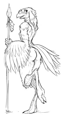 guoh-art:  birdbutt gift art, female variant of this guy 