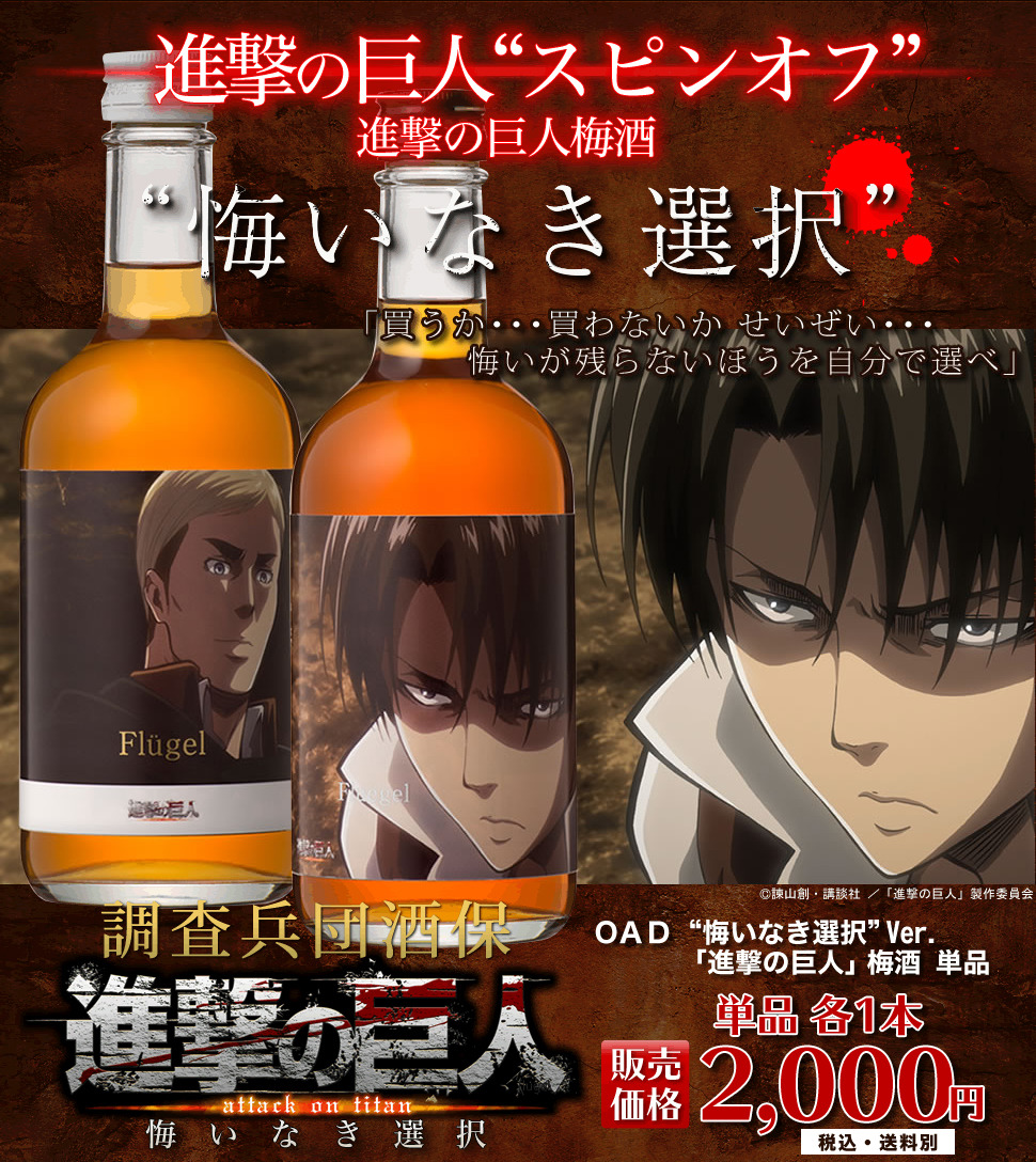 Hibiki no Sato has finally released the previously announced new set of Shingeki