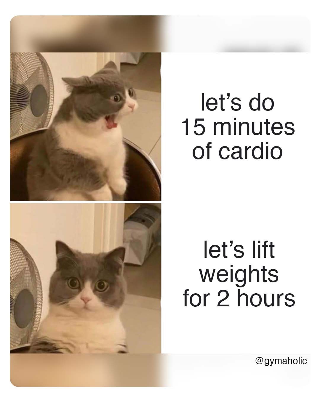 Let’s do 15 minutes of cardio