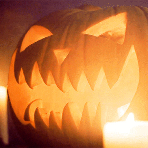 halloweenandwitchcraft:  