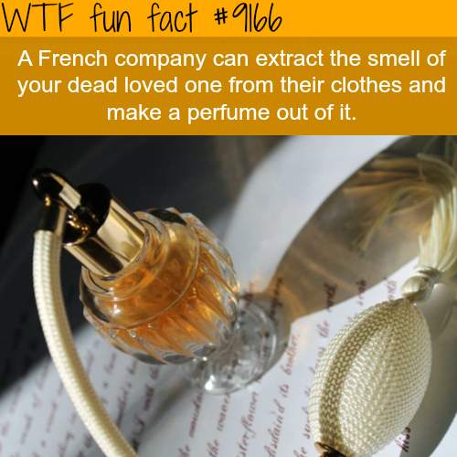 XXX wtf-fun-factss: French Company will make photo