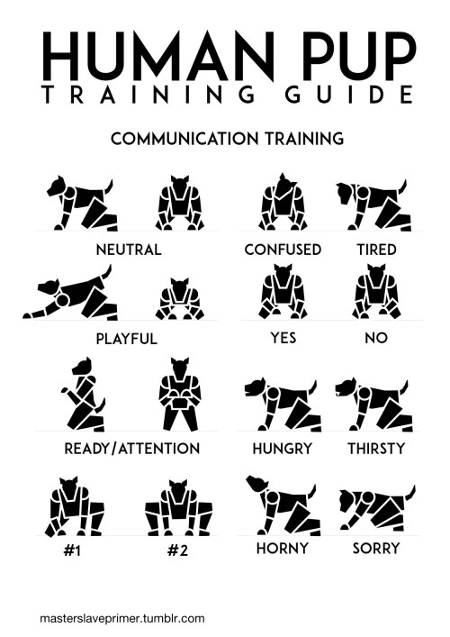 masterslaveprimer: A standard set of stances for a pup to learn so he can communicate with his Maste