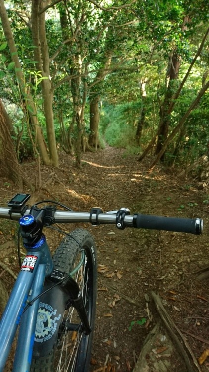 krs955: local trail ride is so fun!
