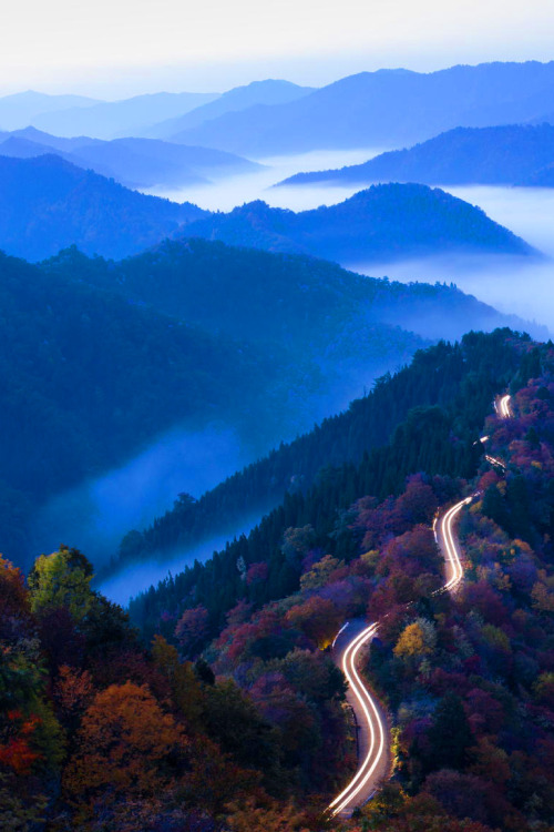 favorite-season: Autumn Morning in Japan.  Photography by Takeshi Wakabayashi on 500p